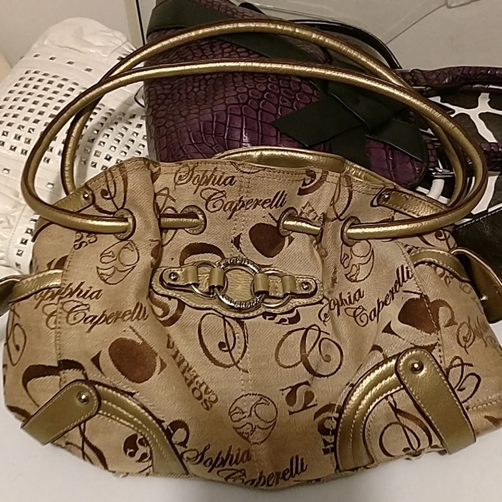 Sophia caperelli purse